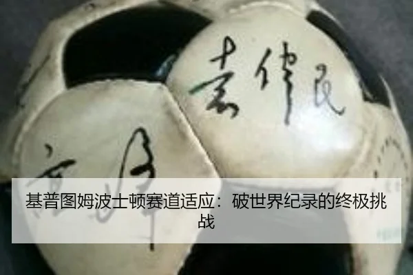 ji-pu-tu-mu-bo-shi-dun-sai-dao-shi-ying-po-shi-jie-ji-lu-de-zhong-ji-tiao-zhan-3-640.jpg