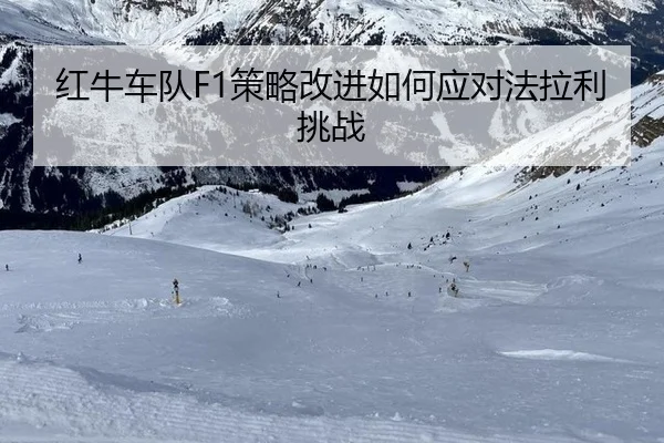 hong-niu-che-dui-ce-lve-gai-jin-ru-he-ying-dui-fa-la-li-tiao-zhan-3-249.jpg