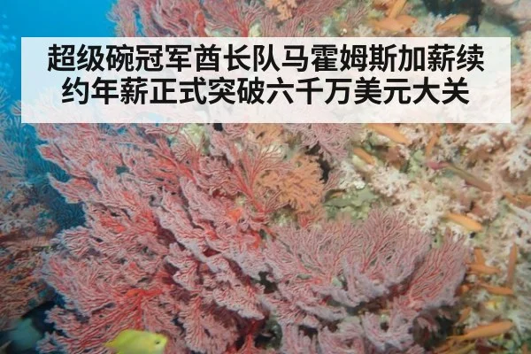 超级碗冠军酋长队马霍姆斯加薪续约年薪正式突破六千万美元大关